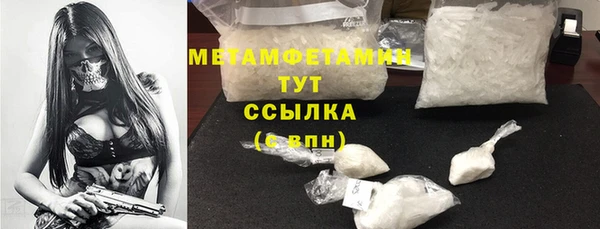 гидра Гатчина