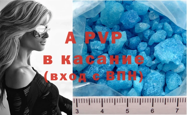 PSILOCYBIN Нефтегорск