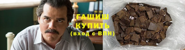 гидра Гатчина