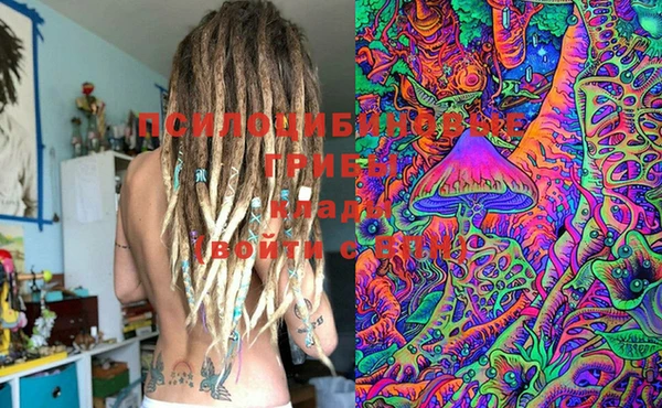 PSILOCYBIN Нефтегорск