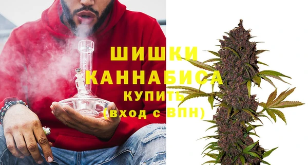 PSILOCYBIN Нефтегорск