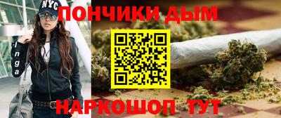 спиды Кингисепп