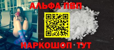 спиды Кингисепп