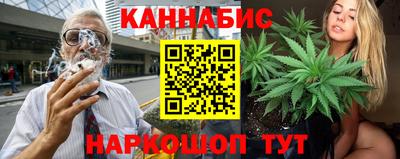 спиды Кингисепп