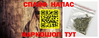 крисы Кимры