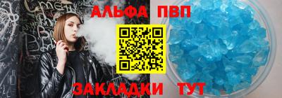 спиды Кингисепп