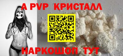спиды Кингисепп