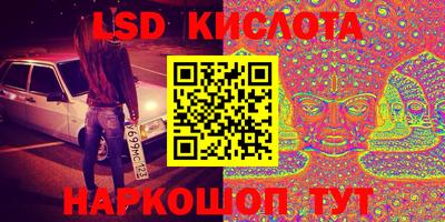 спиды Кингисепп