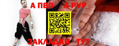 спиды Кингисепп