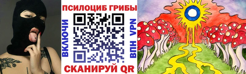 Псилоцибиновые грибы Magic Shrooms  ссылка на мегу онион  Тавда  где купить наркоту 