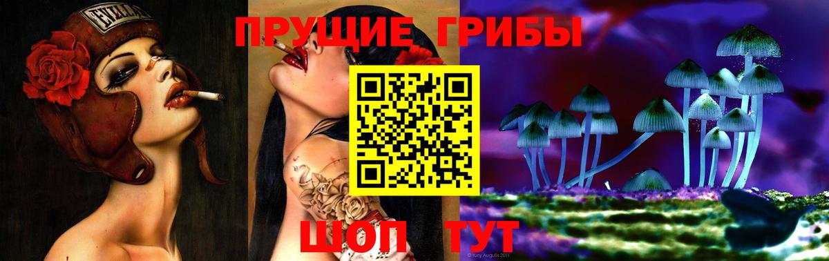 Галлюциногенные грибы GOLDEN TEACHER Тавда
