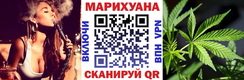 Канабис сатива  Тавда 